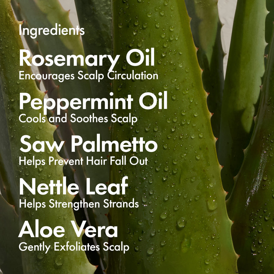 BONDI BOOST Hair Growth Duo