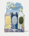 FRAMAR Limoncello Detangle Brush Display - 9PC