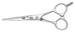 Kasho Blue Series 5.5 Straight Scissor
