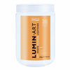 LuminArt White Powder Lightener 500g