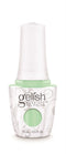 Gelish PRO - Mint Chocolate Chip 15ml