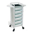 Jasper White 6 Drawer Salon Beauty Trolley - White