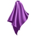 Wahl Nylon/Polyester Cutting Cape Purple WP3008C