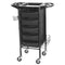 Taro Hairdressing Trolley