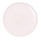 Young Nails 660g Pink Powder CORE